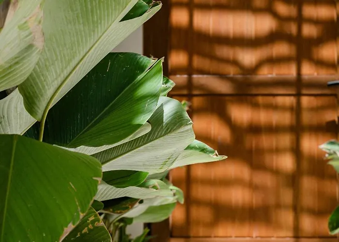 La Tropical Uluwatu, Bingin Villa
